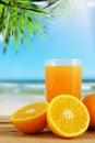 Orange juice with oranges and blur beach background. Royalty Free Stock Photo