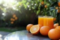 orange juice and oranges on table in garden in two butyfull gllases Royalty Free Stock Photo