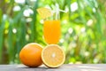 Orange juice with piece orange fruit on glass with nature green summer background Royalty Free Stock Photo