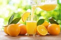 Orange juice pouring into glass. Glass of orange juice and fresh fruits Royalty Free Stock Photo