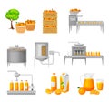 Orange Juice Production with Harvesting, Cleaning and Extraction Stages Vector Illustration Set