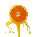 Orange juice splashing on a white background Royalty Free Stock Photo