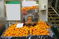 Orange Juicer Machine Royalty Free Stock Photo