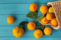 Orange juicy tangerine slices and peeled mandarines scattered on the wooden turquoise background. Flat lay. Copy space. Fresh Royalty Free Stock Photo