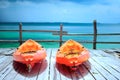 Orange kayak beach Royalty Free Stock Photo