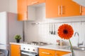 Orange kitchen with flower