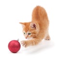 Orange Kitten Playing with a Christmas Ornament