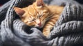 Orange Kitten Sleeping in Gray Blanket