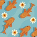 orange koi fishes Royalty Free Stock Photo