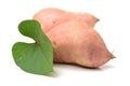 Orange Kumara Sweet Potato Royalty Free Stock Photo