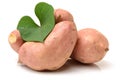 Orange Kumara Sweet Potato Royalty Free Stock Photo
