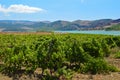 Orange Lake near Sambuca Di Sicilia Sicily Italy Royalty Free Stock Photo