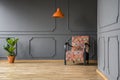 Orange lamp above patterned armchair in grey living room interior with plant. Real photo