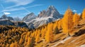 Orange larch trees in Dolomite Alps, Province of Bolzano