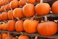 Orange large Halloween `Ghostride` pumpkins used for carving on shelves Royalty Free Stock Photo