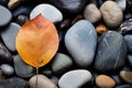 an orange leaf sits on top of a pile of rocks