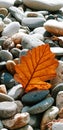 Orange leaf on the stones. Autumn