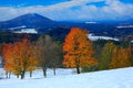 Orange leaves trees with first snow durring autumn. Morning view with snow after sunrise, orange landscape, Jetrichovice Bohemian Royalty Free Stock Photo