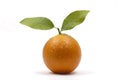 Orange fruit with leaves and water drops isolated on white background Royalty Free Stock Photo