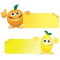 Orange with Lemon Royalty Free Stock Photo