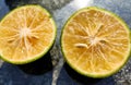 Orange lemon background.Double slice of lemon selective focus on texture background with copy space Royalty Free Stock Photo