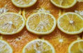 Orange and lemon cut into circles Royalty Free Stock Photo