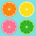 Orange, lemon, grapefruit and lime. Cut fruit. Four slices.