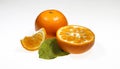 Orange lemon leaf and slice isolated on a white background with clipping path Royalty Free Stock Photo