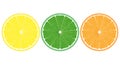 Orange, lemon, lime close up Royalty Free Stock Photo