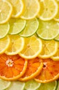 Orange, lemon, lime slices Royalty Free Stock Photo