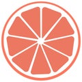 Orange lemon slice icon on a white background. Vector illustration Royalty Free Stock Photo
