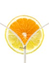 Orange and lemon slice