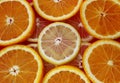 Orange and lemon slices Royalty Free Stock Photo