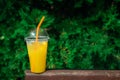 Orange lemonade in plastic glass, cooling fruit drink
