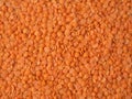 Orange lentil beans seed texture background full wallpaper Royalty Free Stock Photo