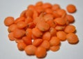 Orange lentil - Lens culinaris