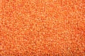 Orange lentils full background Royalty Free Stock Photo