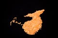 Orange lentils in a whale shape on a black background. Selective