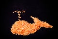 Orange lentils in a whale shape on a black background. Selective