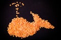 Orange lentils in a whale shape on a black background. Toned