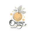 Orange lettering composition and hand drawn sketch for your citrus juice logo, label, emblem