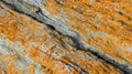 Orange Lichen on great Rock Royalty Free Stock Photo