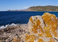 Orange lichen on Rocks at Lozari beach, Corsica