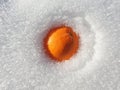 The orange lies in the snow