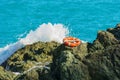 Orange Life Buoy on a Cliff with Blue Sea and White Wave Royalty Free Stock Photo