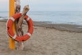 Orange lifebuoy hanging on a dry dead trunk on a beach Royalty Free Stock Photo