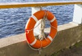 Orange lifebuoy and old rope hanging by the river Royalty Free Stock Photo