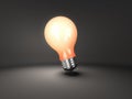 Orange Light bulb Royalty Free Stock Photo