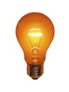 Orange Light Bulb