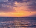 Stormy Sunset Sailboats